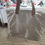 Miniatura: Bolsa Praia D'água