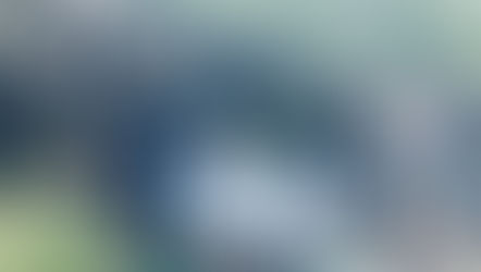 ６月２４日の臨時清掃