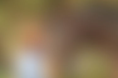 "Keep the circle moving" & "I am my horse's Safe Place"