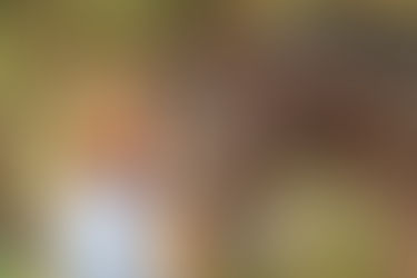 "Keep the circle moving" & "I am my horse's Safe Place"