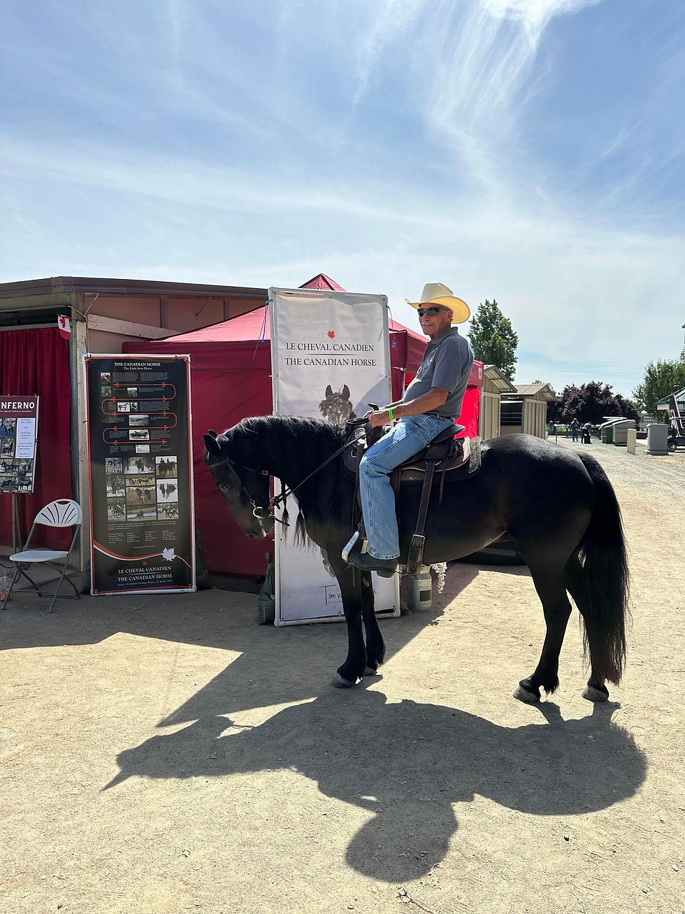 Shows this past year