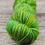 Thumbnail: Scandinavian Grass