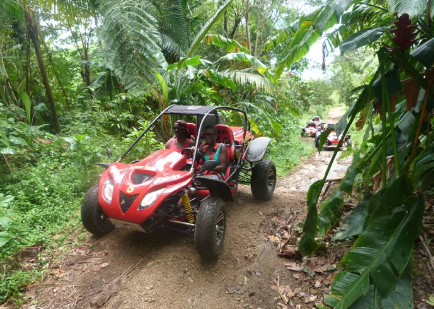 buggy martinique