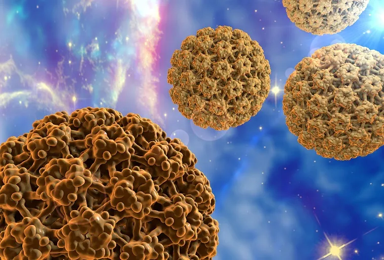 HPV-v1.webp