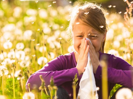 Darm und Lunge gehören zusammen wie Yin und Yang