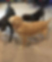 fullsizeoutput_1b94.jpeg