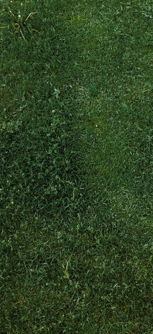 Lawnmower_edited.jpg