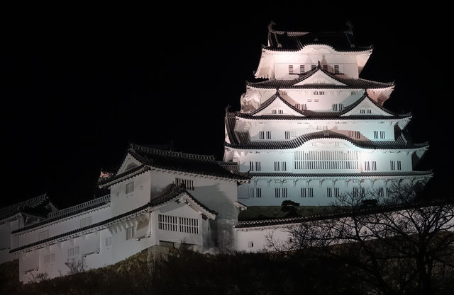 Himeji : visite du héron blanc pour le premier jour de l'année.
