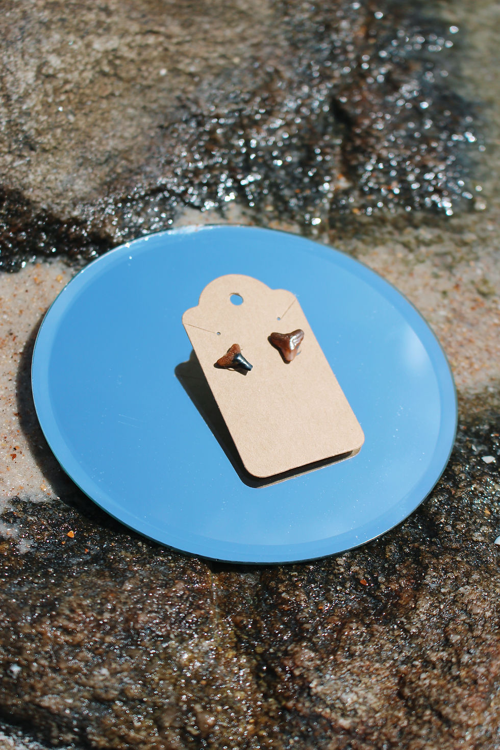 Thumbnail: Shark Tooth Studs