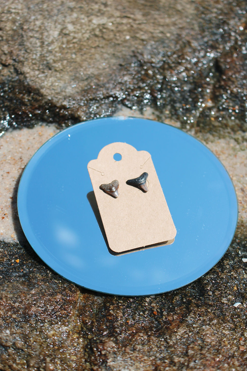 Thumbnail: Shark Tooth Studs