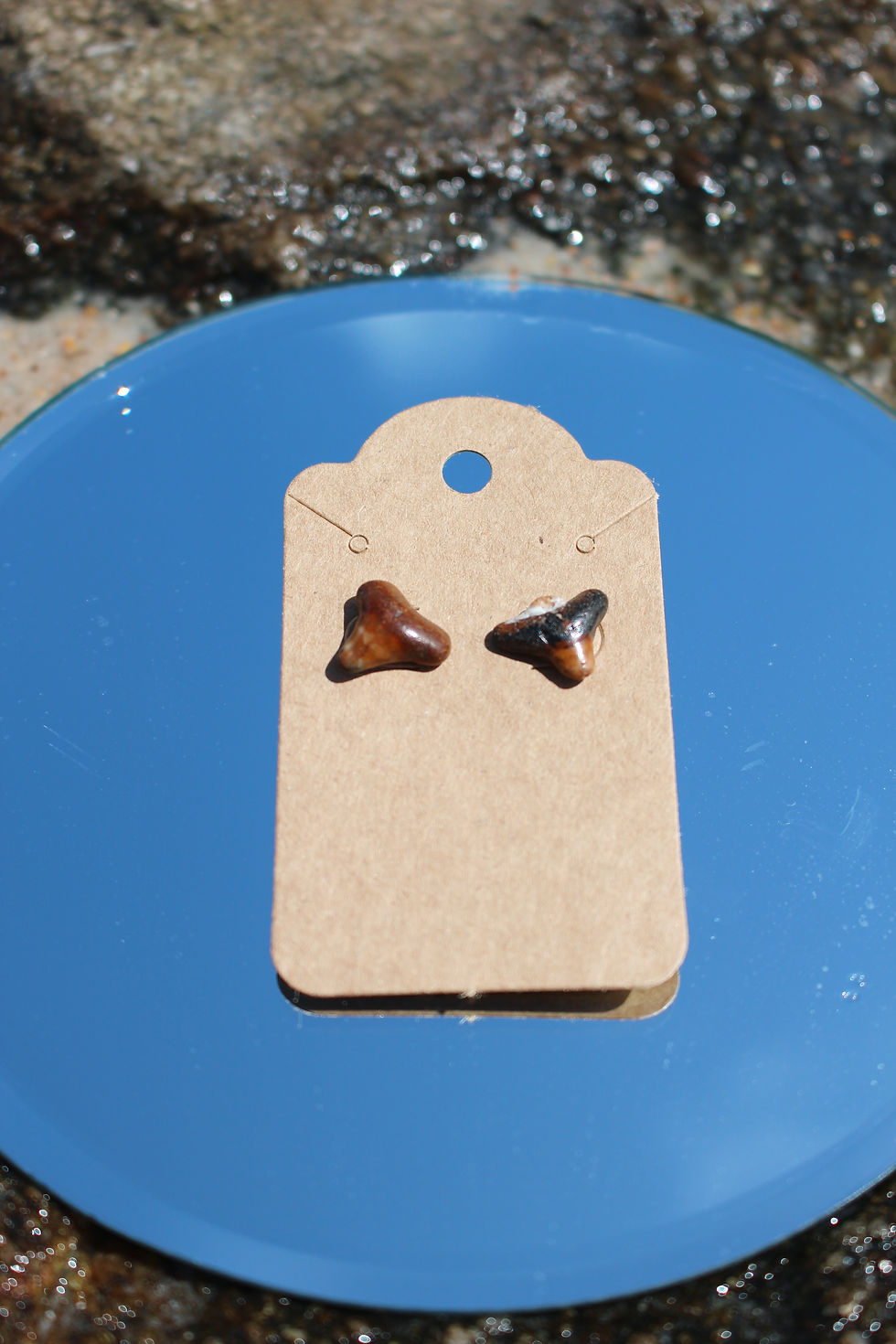 Thumbnail: Shark Tooth Studs