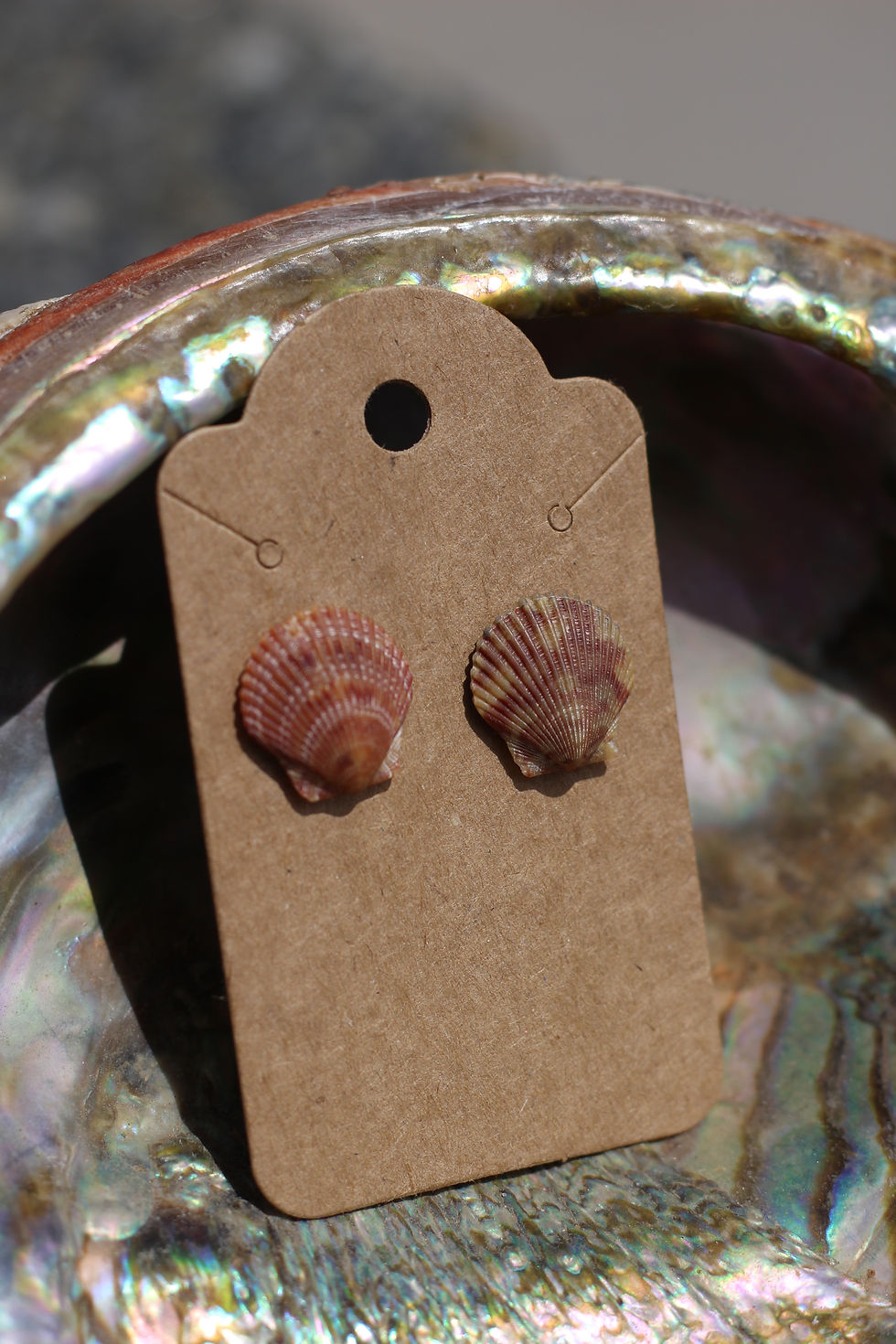 Thumbnail: ruby shell studs