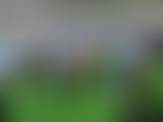2026/8/16 知的･発達障がい児者向けサッカー教室を開催