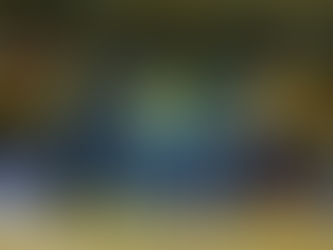 F地域チャンピオンズリーグを終えての選手コメント