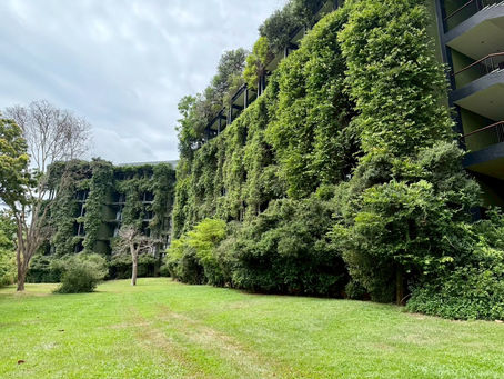 《世界のプール スリランカ②🇱🇰》〜ヘリタンス・カンダラマ〜