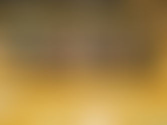 2024/2/10 第24回Ｆ地域チャンピオンズリーグ2日目｣の試合結果