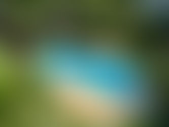 プール計画をご検討中の方へ ― ご相談から契約までを分かりやすく解説