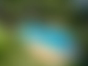 プール計画をご検討中の方へ ― ご相談から契約までを分かりやすく解説