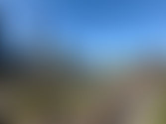 【水と都市が共存する街、メルボルンへ】