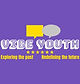 Vibe Youth Logo.jpg