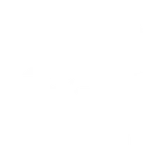 white-logo-hounds-town-usa-dog-daycare-franchise.webp