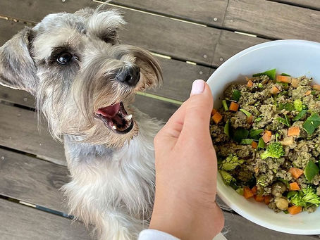 Crecimiento, participación y pronóstico del mercado latinoamericano de alimentos para mascotas (2025-2033)