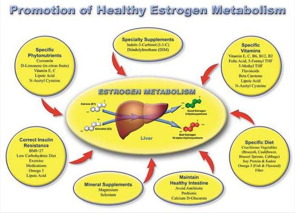 Do you think that Estrogen causes cancer?