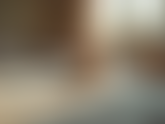 Advantages of Opting for Indoor Cat Boarding Services