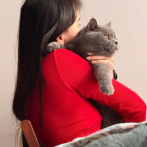 Woman in red hugs gray cat; indoors, affectionate moment with pet.