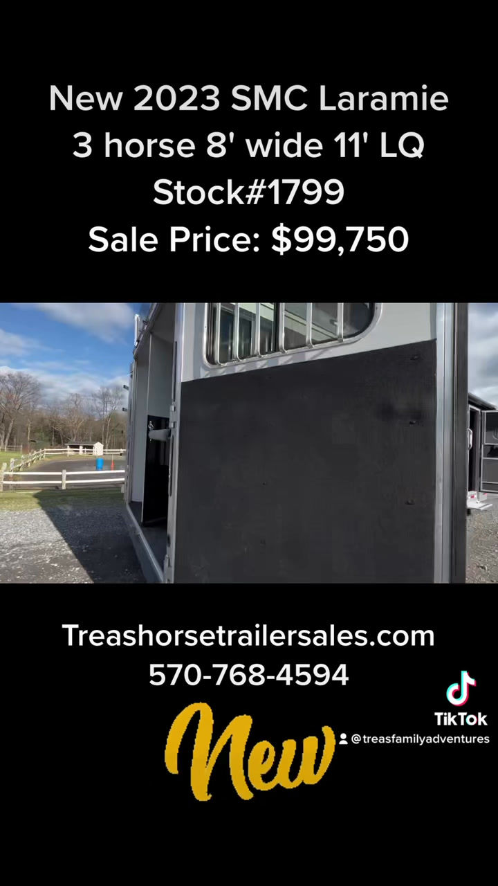 All Trailers treashorsetrailers 2/2
