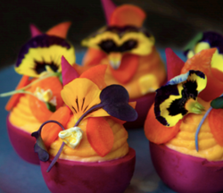 Spotlight On: Deviled Eggs