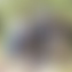 Becky Branch Warwoman Dell Merrell And The Reset Button