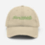 Thumbnail: Distressed Green Hat 