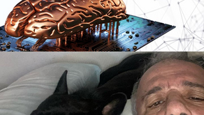Cerebrando la confianza