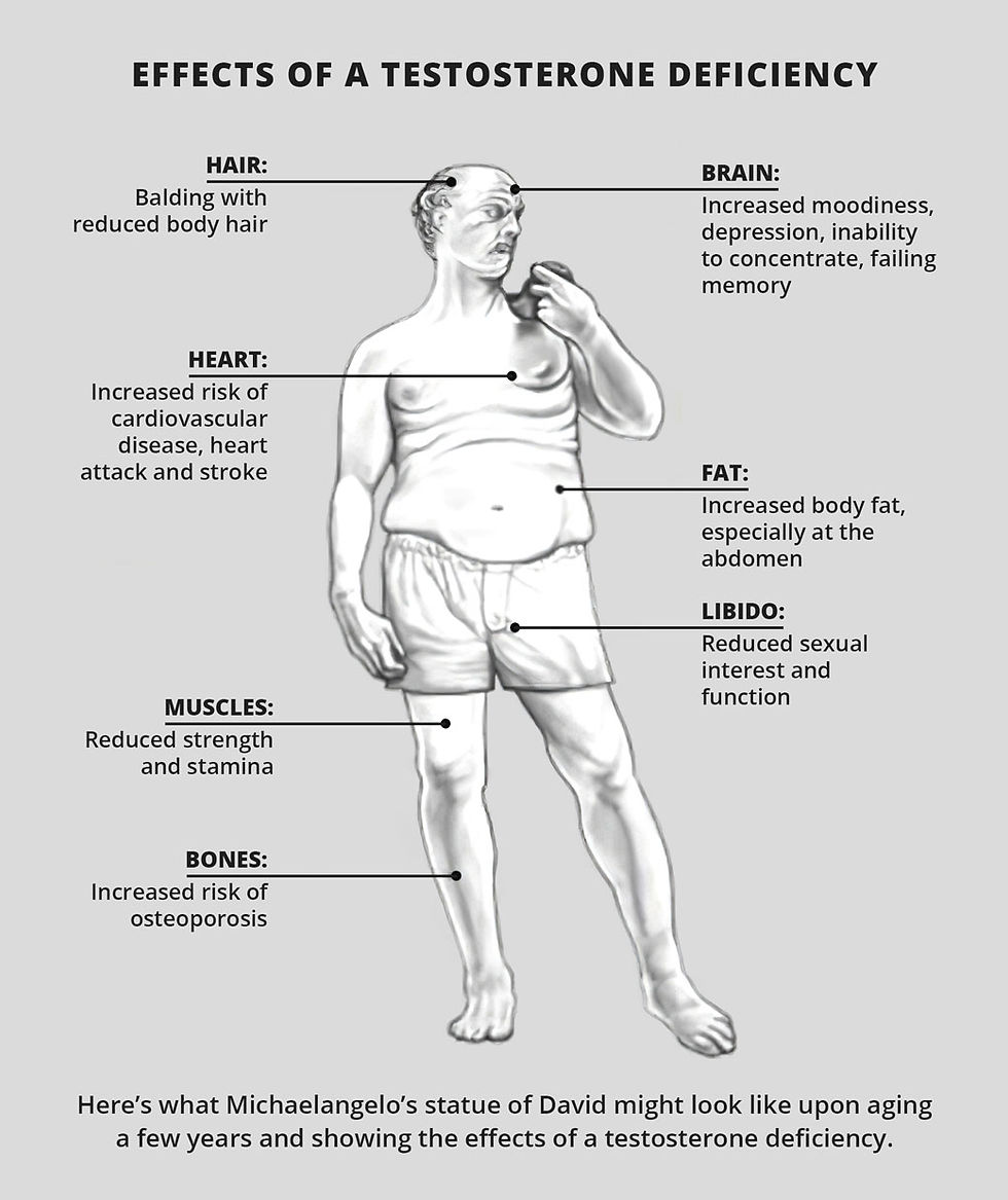 a poster of what Davinci's David would look like with low testosterone.