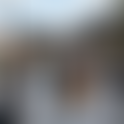 Harpy Eagle Leaves Amazon for Portland