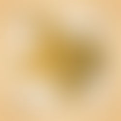 2025 Texas Construction Industry Forecast: All Signs Point to Continuing Growth