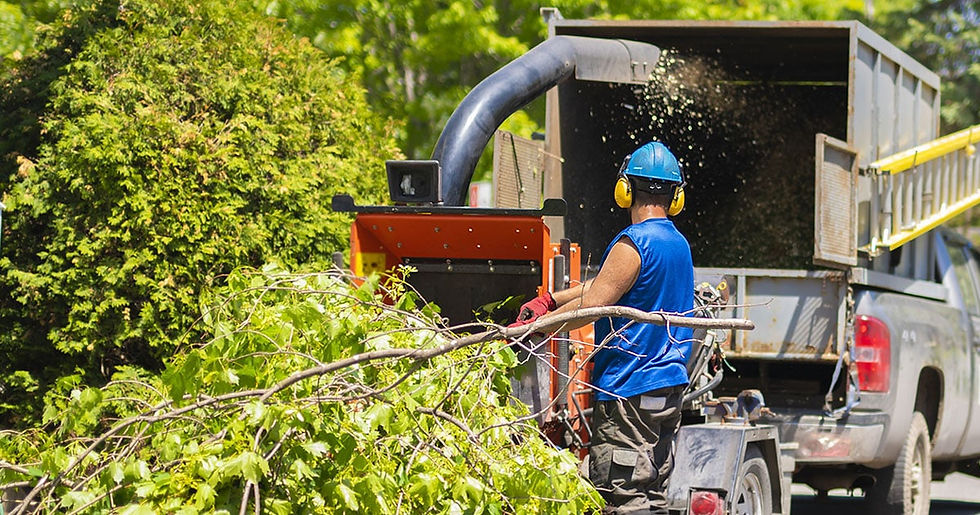 A man using a wood chipper, wearing a hard hat and potentially thinking about a raise.
