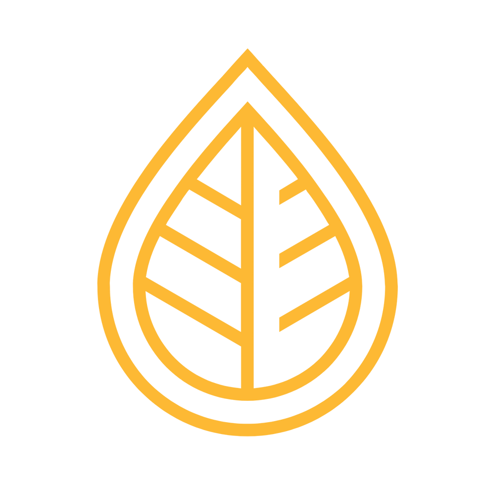 5.png