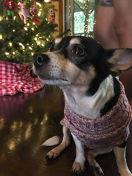 Zoe