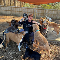 Dogs getting pet at Newport Pet Boarding and Daycare in Rock Hill, SC