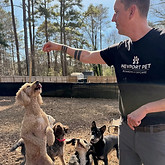 Newport Pet Boading and Daycare Dogs during treat time.