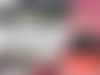 【中原估價】實地視察不可或缺