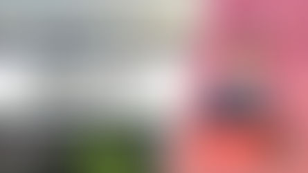 【中原租務】租約印花稅由邊個俾？