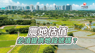 農地估值必須提供地段號碼?