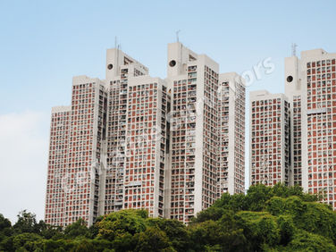 穗禾苑 | Sui Wo Court (實用約550 s.f. | 月租$14,000)