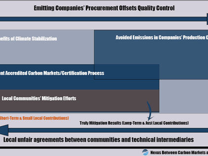 Blog | Private Company Policies in the Nexus Between Carbon Credit Markets and Local Welfare
