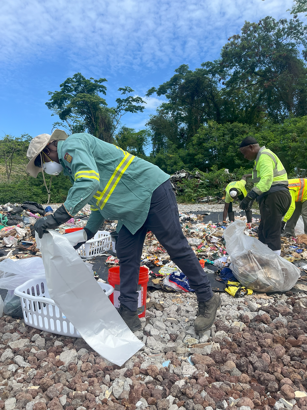 Sorting Grenada’s Waste: Reflections & Insights from a Waste Characterization Study 