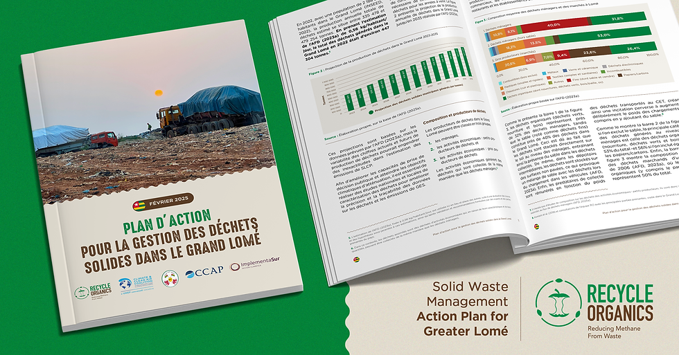 Lome Waste Action Plan