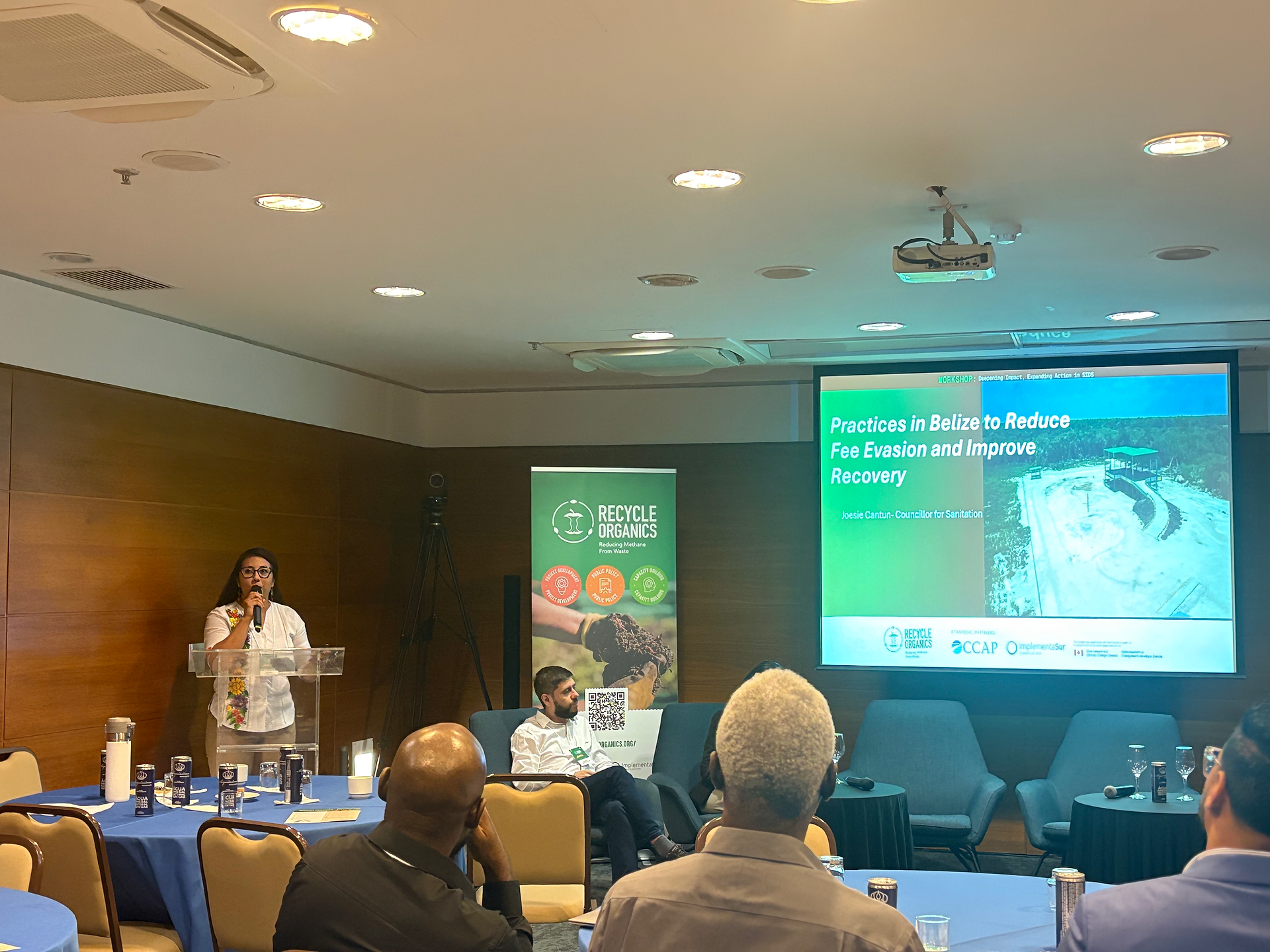Brazil Methane Mitigation Workshop